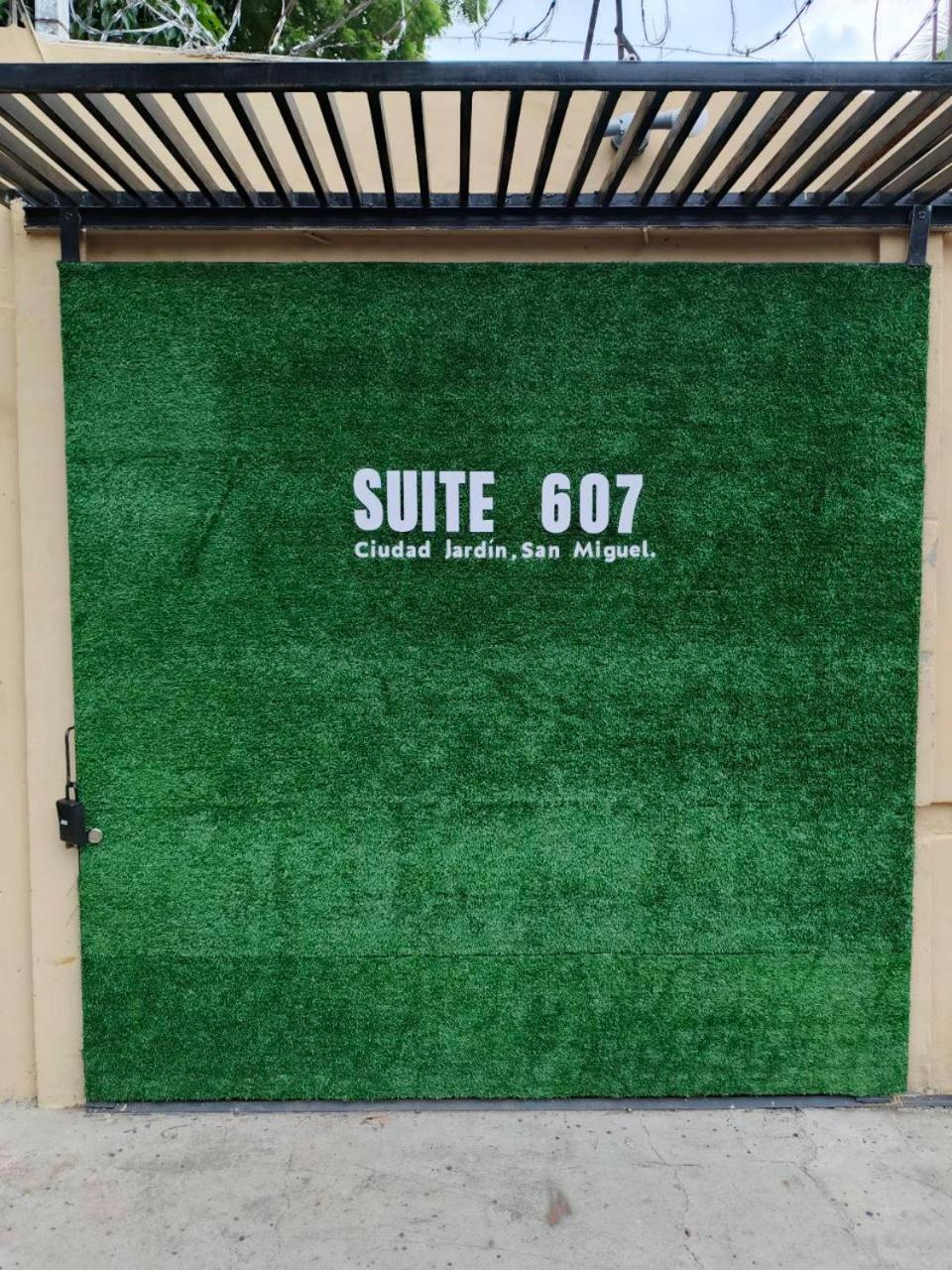 Suite 607 Ciudad Jardin San Miguel Kültér fotó